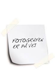 WEB IT